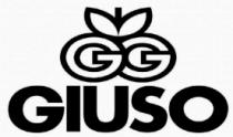 GG GIUSO