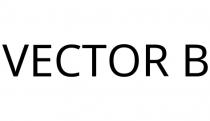 VECTOR B