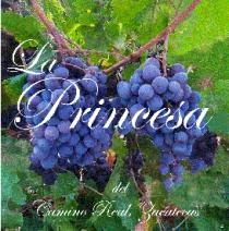 LA PRINCESA DEL CAMINO REAL; ZACATECAS
