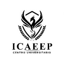 CENTRO UNIVERSITARIO ICAEEP