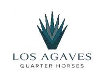 LOS AGAVES QUARTER HORSES