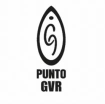 PUNTO GVR