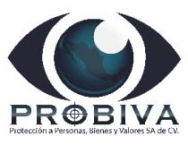 PROBIVA; PROTECCION A PERSONAS; BIENES Y VALORES SA DE CV.