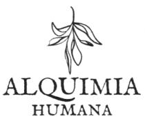 ALQUIMIA HUMANA
