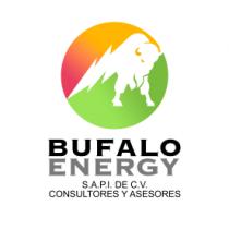 BUFALO ENERGY S.A.P.I. DE C.V. CONSULTORES Y ASESORES