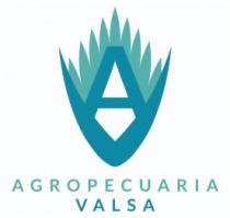 AV AGROPECUARIA VALSA