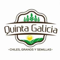 QUINTA GALICIA CHILES; GRANOS Y SEMILLAS