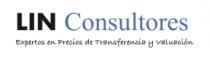 LIN CONSULTORES