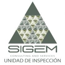 CONSULTING AND SERVICES UNIDAD DE INSPECCION