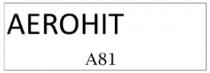 AEROHIT A81 Y DISEÑO.