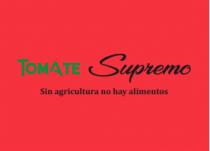 TOMATE SUPREMO SIN AGRICULTURA NO HAY ALIMENTOS