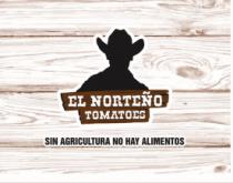EL NORTEÑO TOMATOES SIN AGRICULTURA NO HAY ALIMENTOS