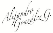 ALEJANDRO GONZALEZ G.