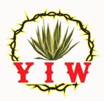 YIW