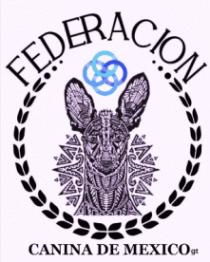 FEDERACION CANINA DE MEXICO GT