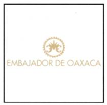 EMBAJADOR DE OAXACA