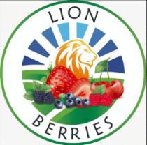 LION BERRIES
