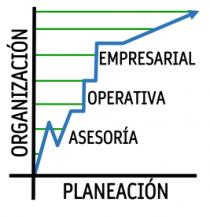 ASESORIA OPERATIVA EMPRESARIAL