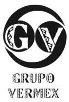 GV GRUPO VERMEX