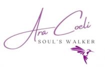ARA COELI SOUL'S WALKER