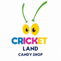 CRICKET LAND