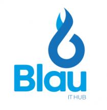 BLAU IT HUB