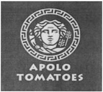 APOLO TOMATOES