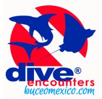 BUCEO MÉXICO BY DIVE ENCOUNTER