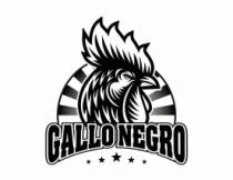 GALLO NEGRO