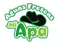 AGUAS FRESCAS MI APA