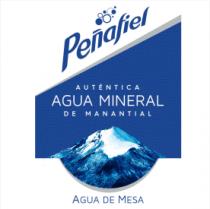 PEÑAFIEL AUTÉNTICA AGUA MINERAL DE MANANTIAL AGUA DE MESA