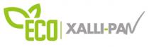 XALLI-PAN