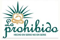 LO PROHIBIDO - HECHO EN SERIO NO EN SERIE