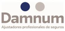 DAMNUM AJUSTADORES PROFESIONALES DE SEGUROS
