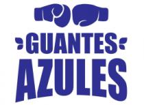 GUANTES AZULES