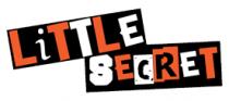 LITTLE SECRET