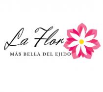 LA FLOR MAS BELLA DEL EJIDO METEPEC HIDALGO