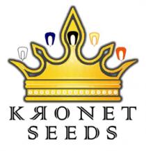 KRONET SEEDS