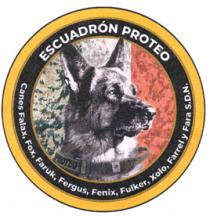 ESCUADRÓN PROTEO CANES FALAX; FOX; FARUK; FERGUS; FÉNIX; FULKER; XOLO; FARREL Y FARA S.D.N.
