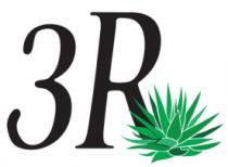3R