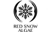 RED SNOW ALGAE