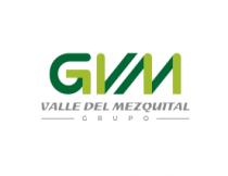 GVM VALLE DEL MEZQUITAL GRUPO