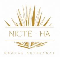 N1CTE-HA Y LA IMAGEN DEL MAGUEY
