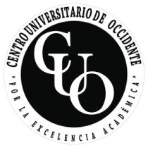CENTRO UNIVERSITARIO DE OCCIDENTE CUO 