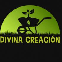 DIVINA CREACION