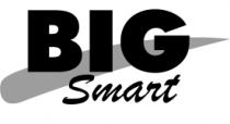BIG SMART