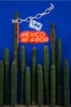 TANE MÉXICO 1942 MÉXICO MI AMOR