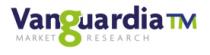 VANGUARDIA TM MARKET RESEARCH
