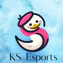 KS ESPORTS