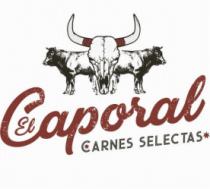 EL CAPORAL CARNES SELECTAS
